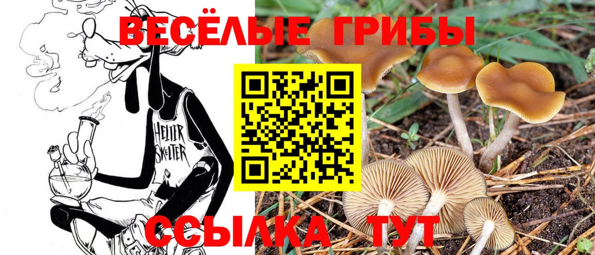 Лыткарино  Псилоцибиновые грибы мицелий  Псилоцибиновые грибы мухоморы  Вход с VPN 